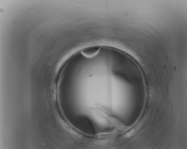 X0000062931510200601202014