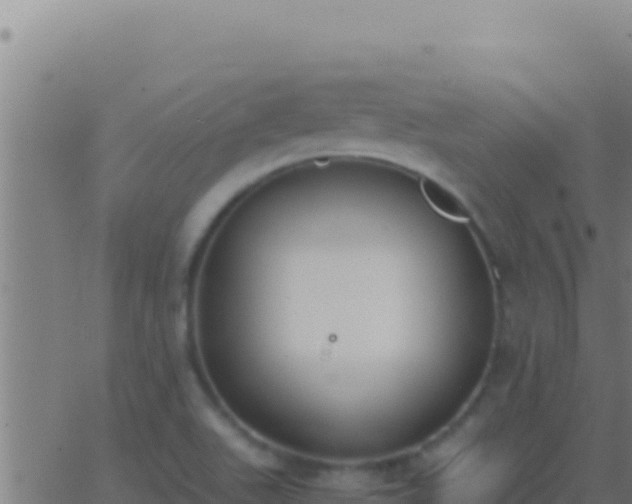 X0000062931511200601202014