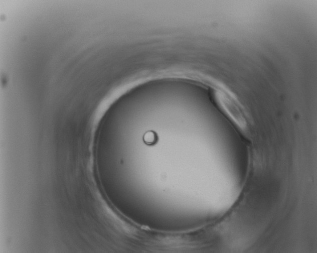 X0000062931512200601202014