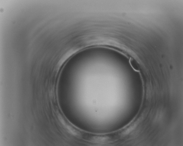 X0000062931513200601202014