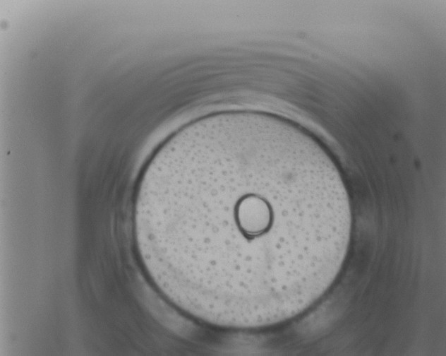 X0000062931514200601202014