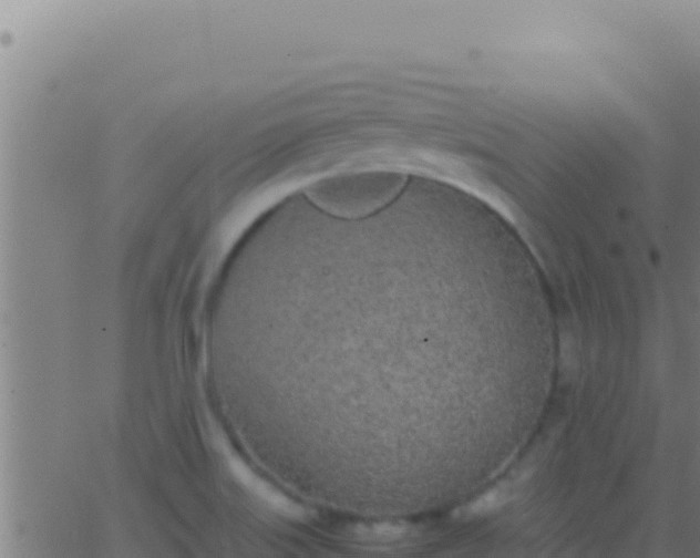 X0000062931515200601202014