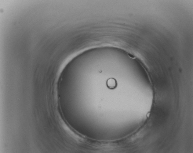 X0000062931516200601202014