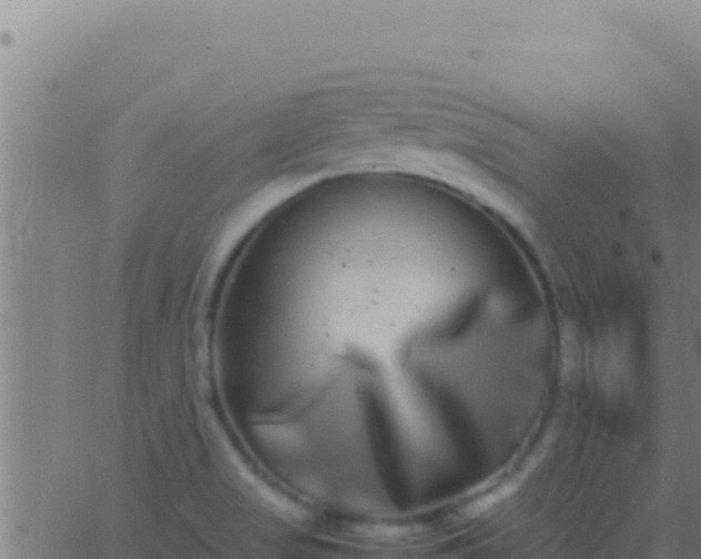 X0000062931517200601202014