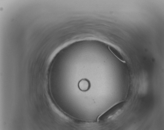 X0000062931518200601202014