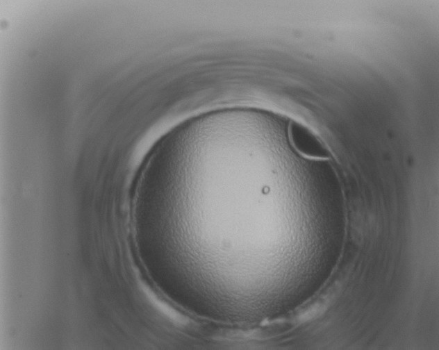 X0000062931519200601202014