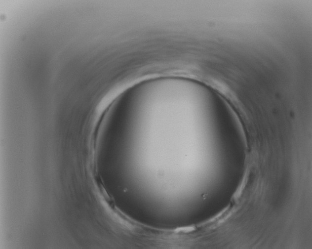 X0000062931520200601202014