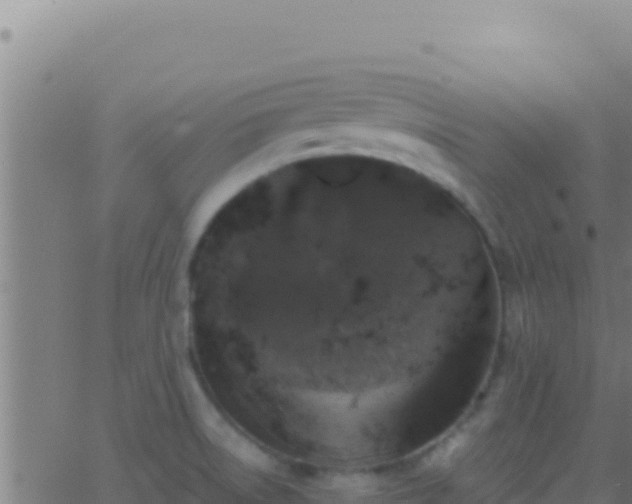 X0000062931522200601202014