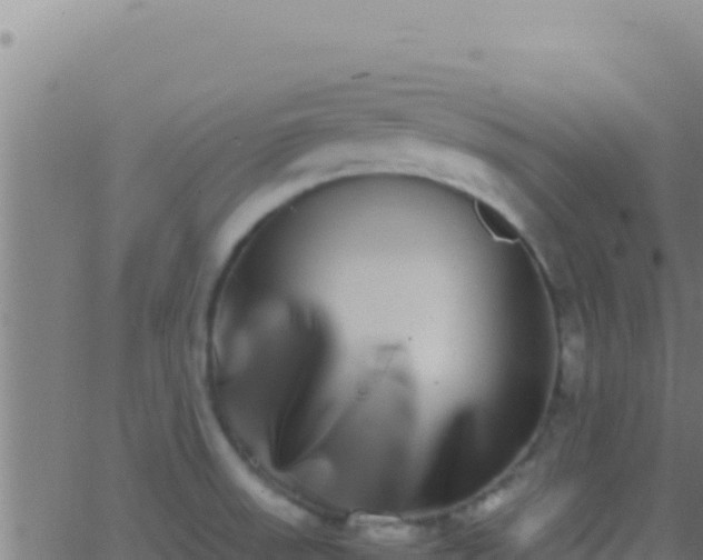 X0000062931523200601202014