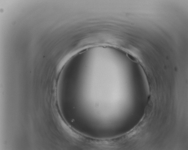 X0000062931524200601202014