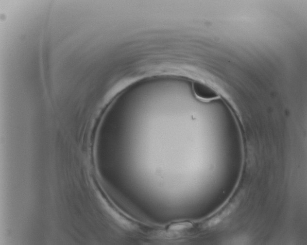 X0000062931525200601202014