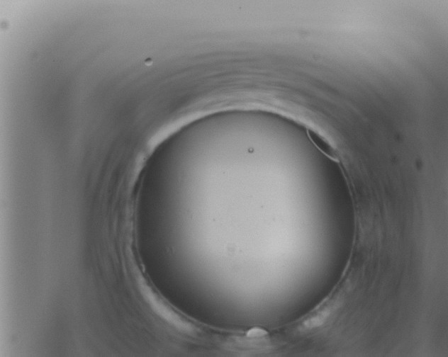 X0000062931526200601202014