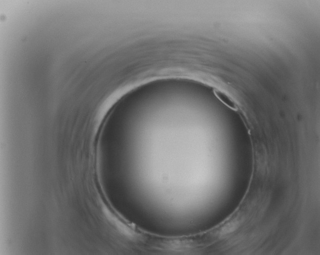 X0000062931527200601202014