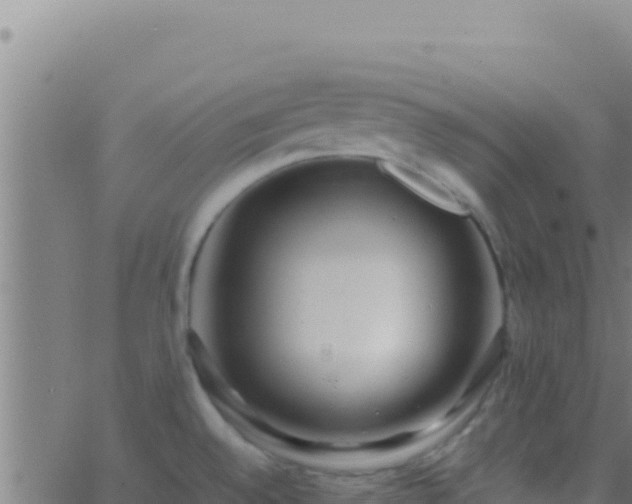 X0000062931528200601202014