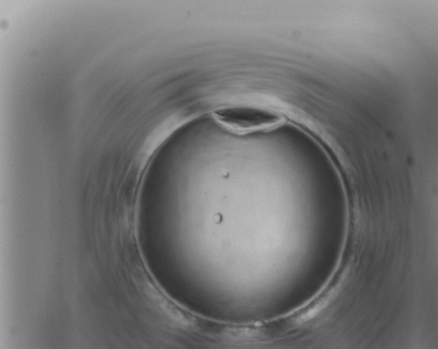 X0000062931529200601202014