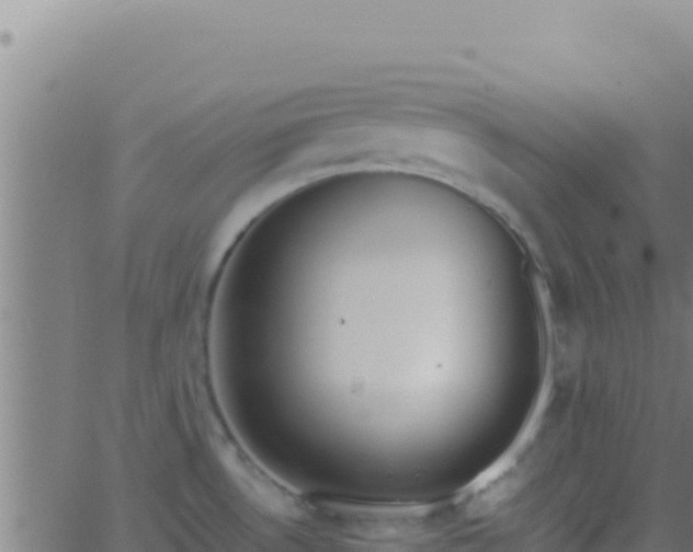 X0000062931530200601202014