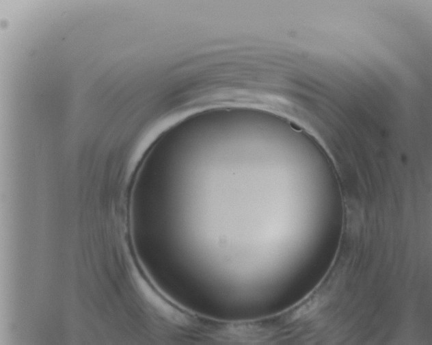 X0000062931531200601202014