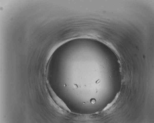 X0000062931532200601202014