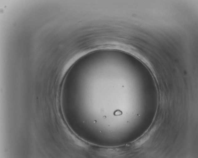 X0000062931533200601202014