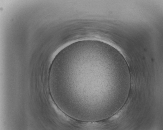 X0000062931534200601202014