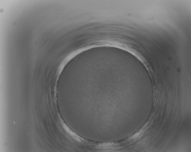 X0000062931535200601202014