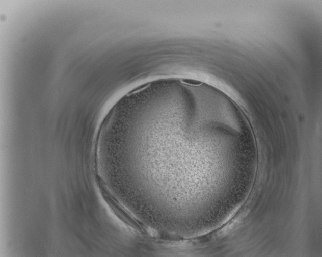 X0000062931536200601202014