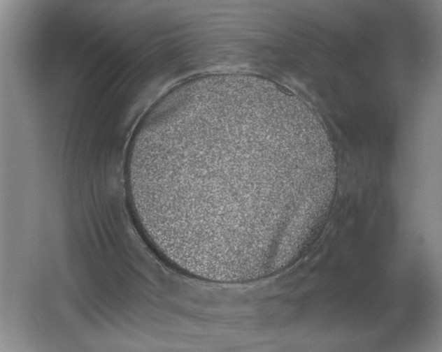 X0000062930002200601271844