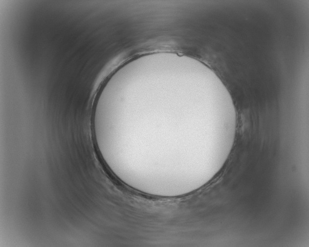 X0000062930004200601271844