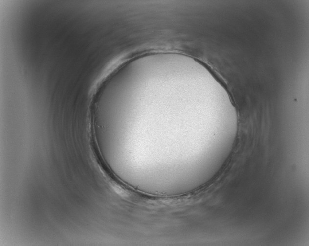 X0000062930005200601271844