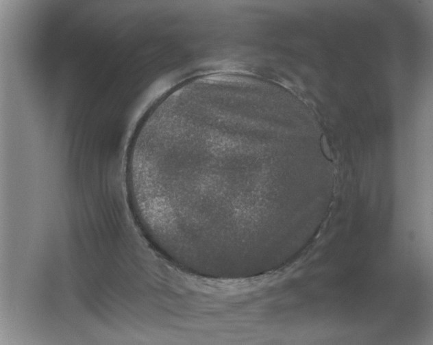 X0000062930006200601271844