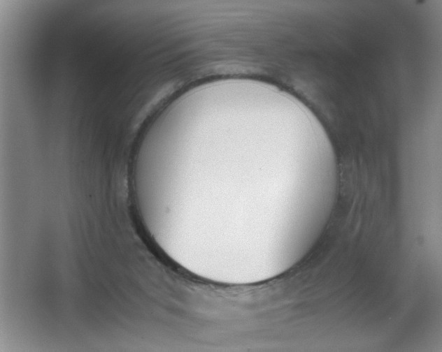 X0000062930015200601271844