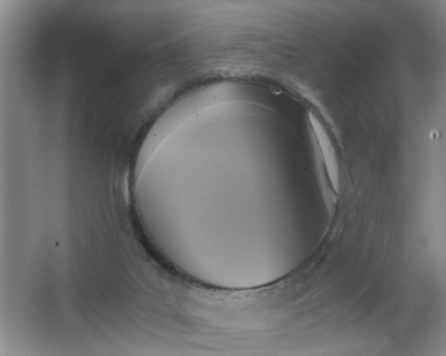 X0000062930019200601271844