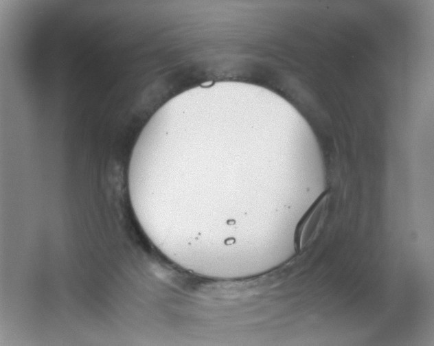 X0000062930025200601271844