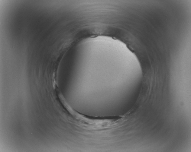 X0000062930031200601271844