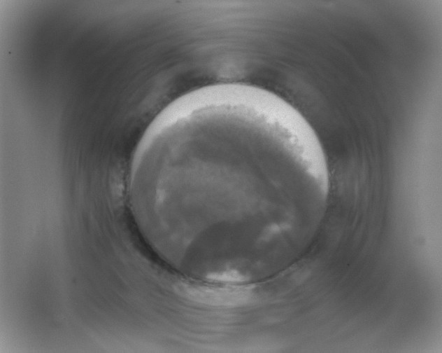 X0000062930032200601271844
