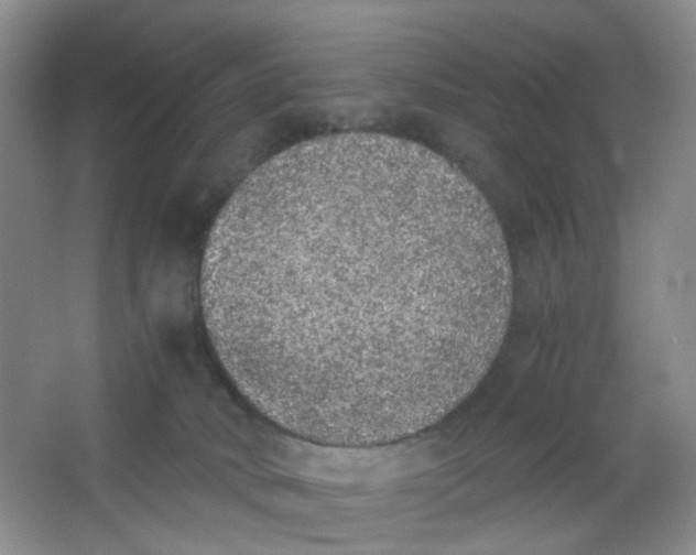X0000062930034200601271844