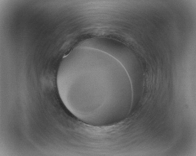 X0000062930035200601271844