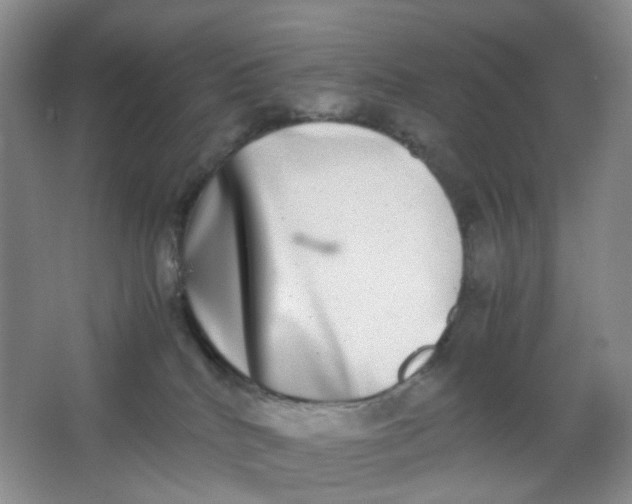 X0000062930040200601271843