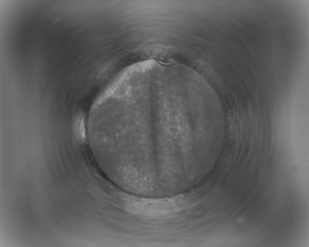 X0000062930042200601271843