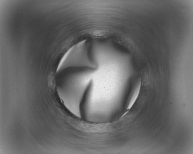 X0000062930044200601271843