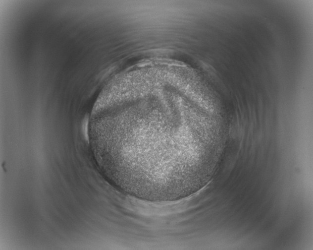 X0000062930047200601271843
