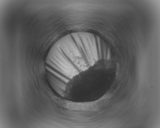 X0000062930048200601271843