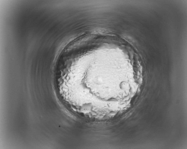 X0000062930049200601271843