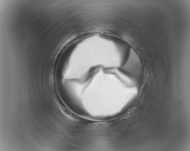 X0000062930050200601271843