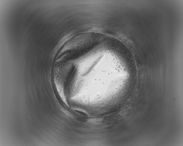 X0000062930051200601271843
