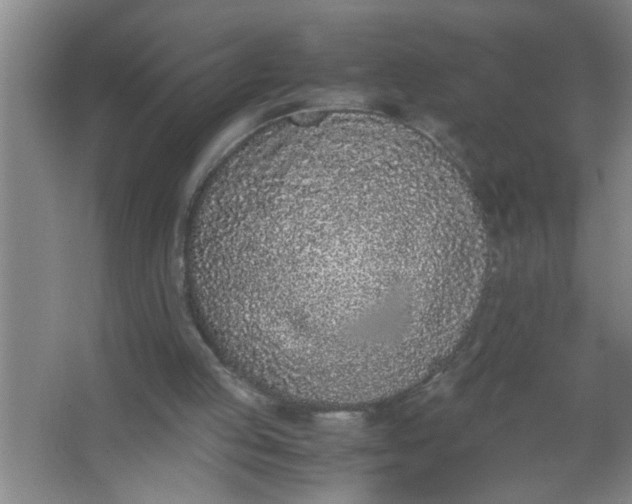 X0000062930053200601271843