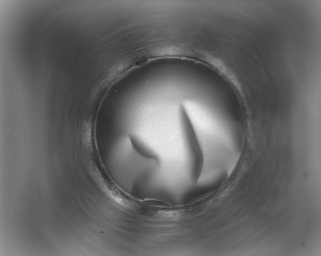 X0000062930057200601271843