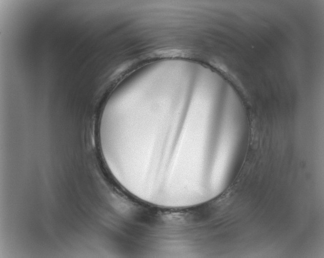 X0000062930062200601271843