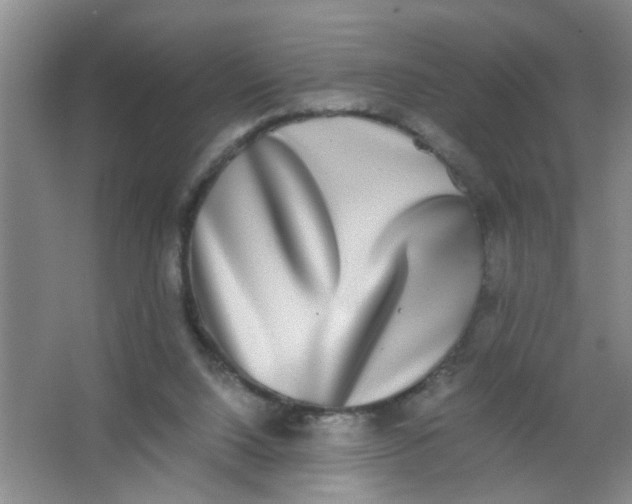 X0000062930064200601271843