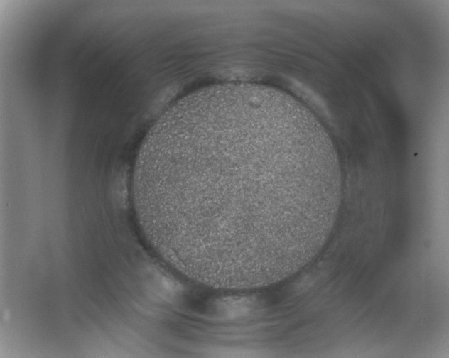 X0000062930065200601271843